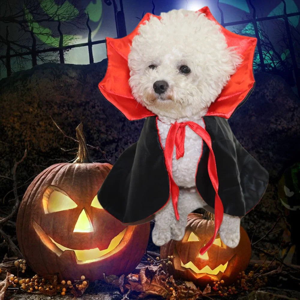 Capa de vampiro para perros y gatos RumboPata