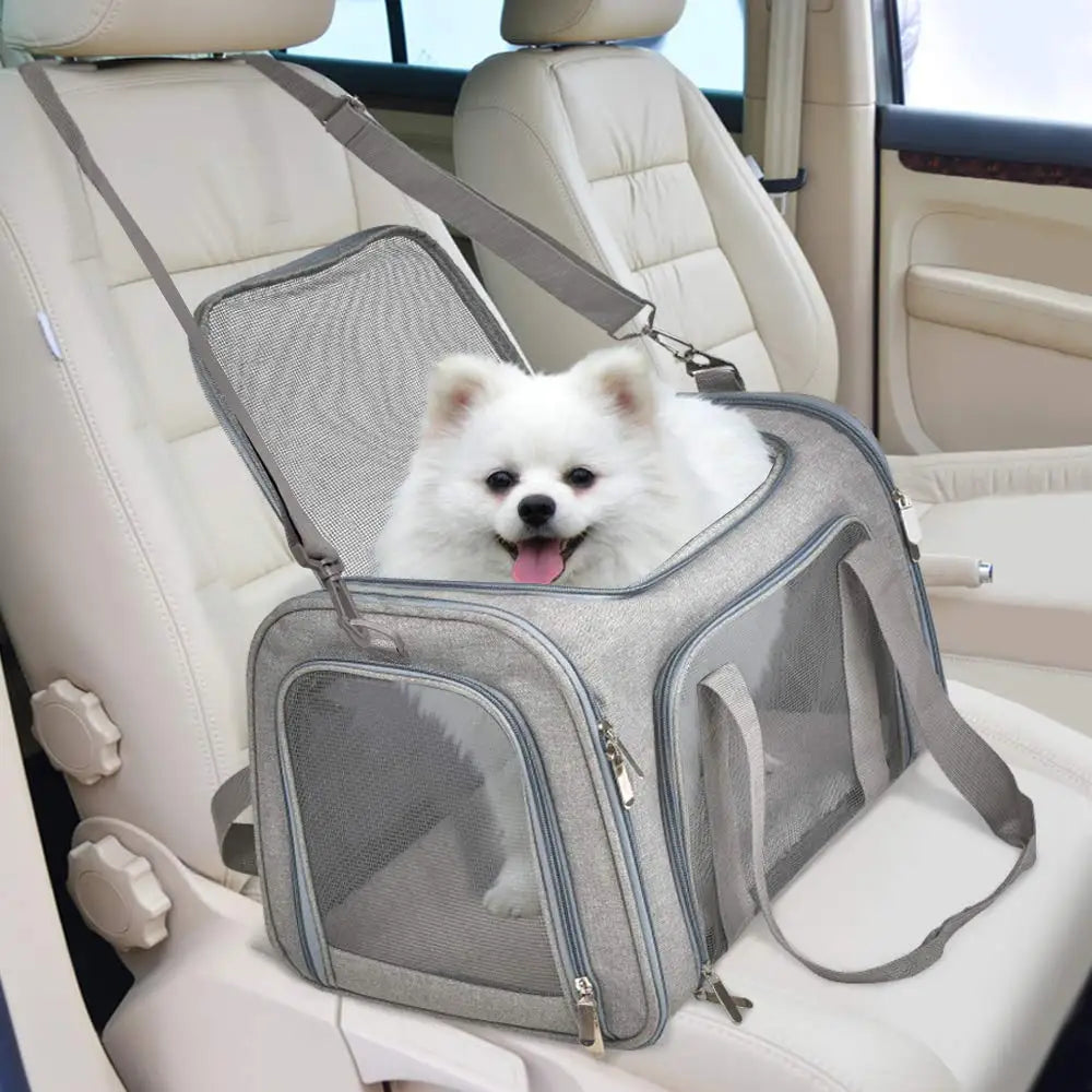 Transportín de viaje reforzado para mascotas RumboPata