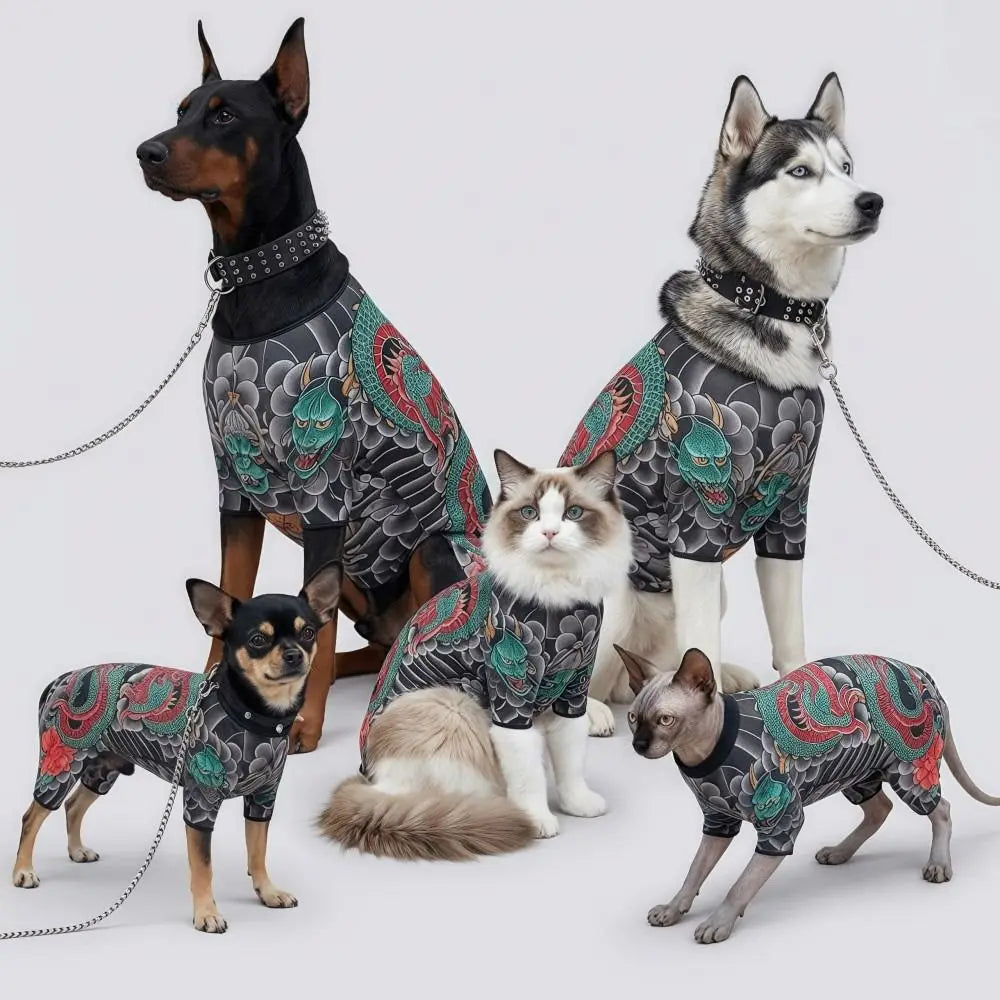 Chaleco ligero para perro RumboPata