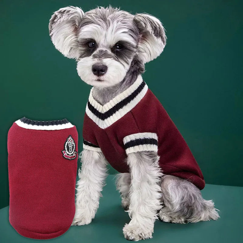Chaleco de punto para perro RumboPata