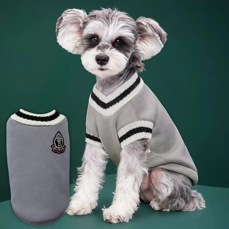 Chaleco de punto para perro RumboPata