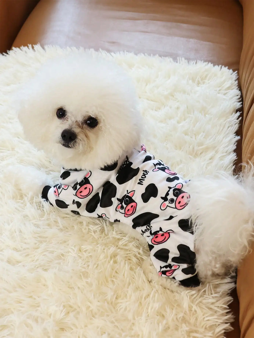 Pijama de paseo para perro RumboPata