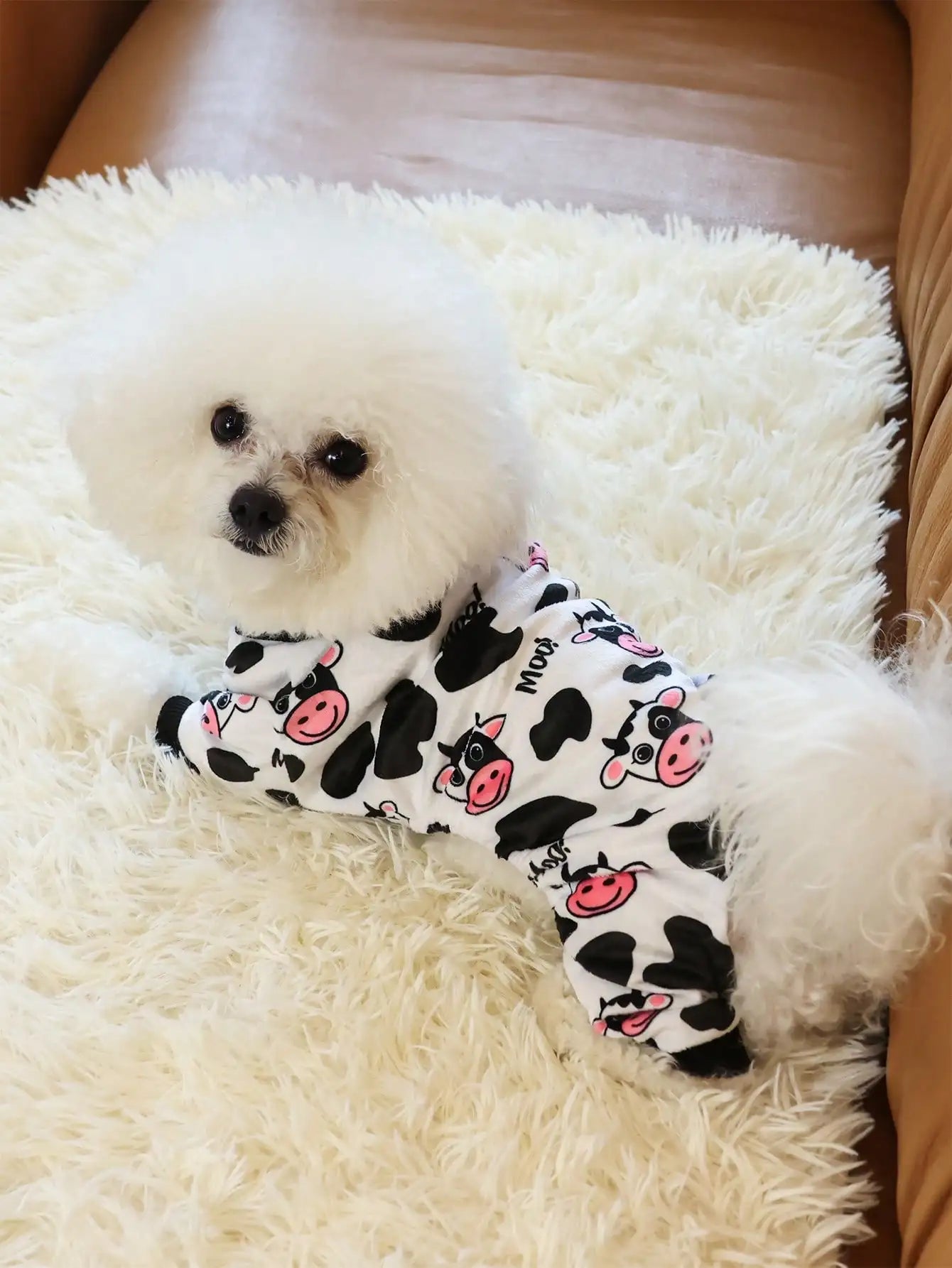 Pijama de paseo para perro RumboPata