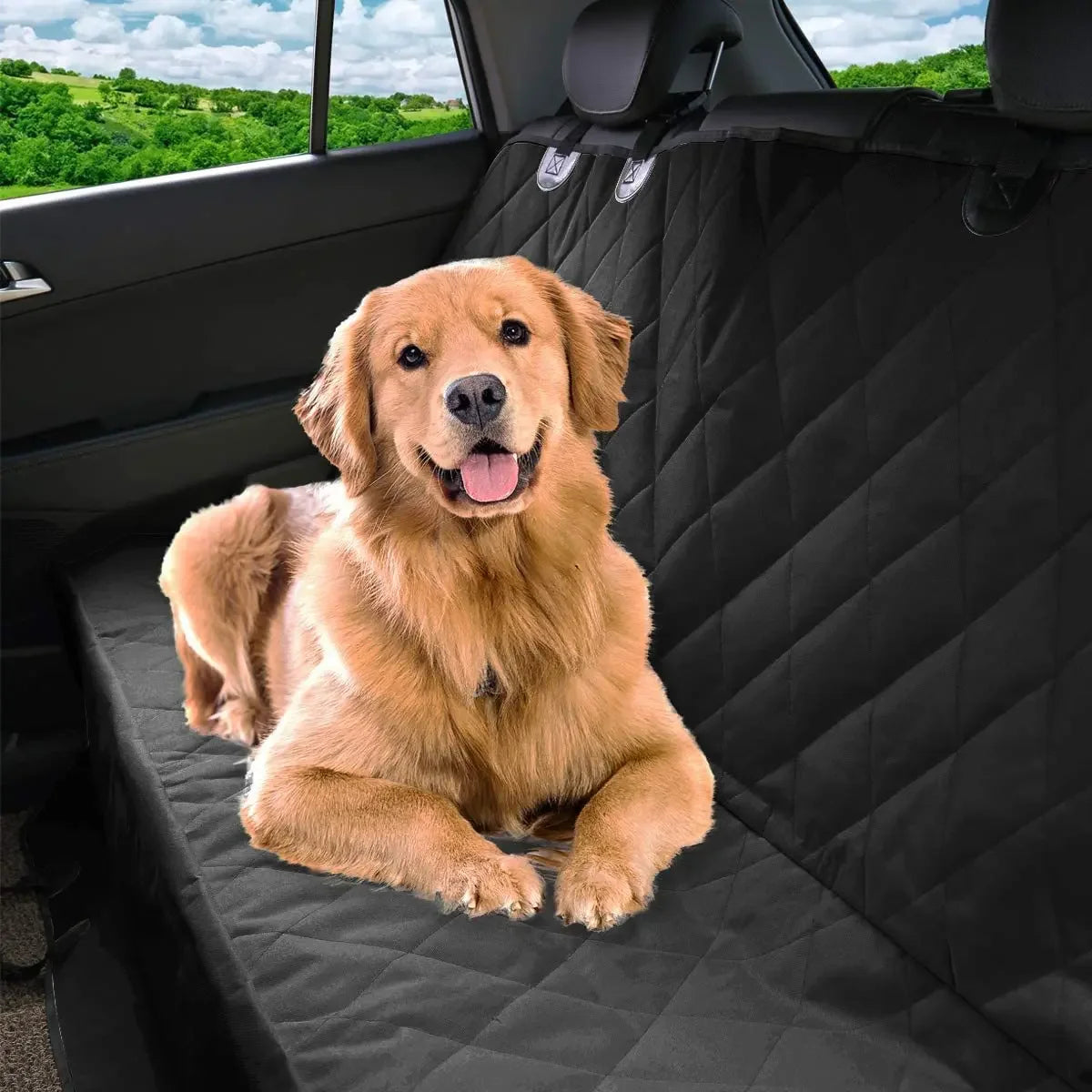Protector impermeable de asiento para coche RumboPata