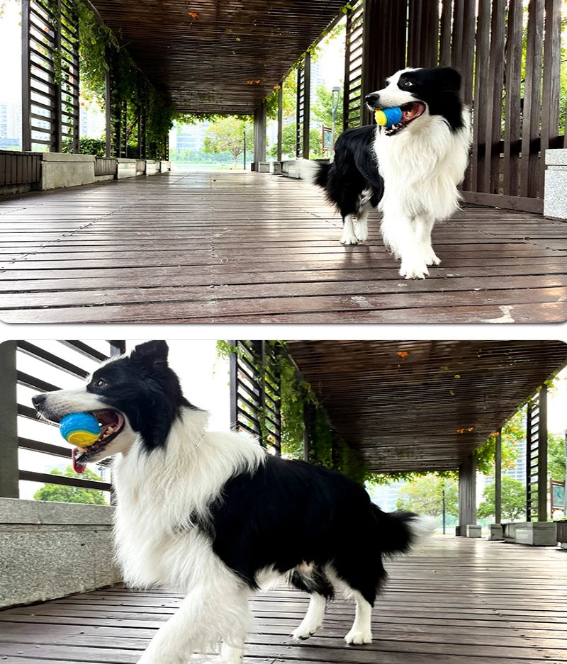 Pelota chirriante de TPR para perros RumboPata