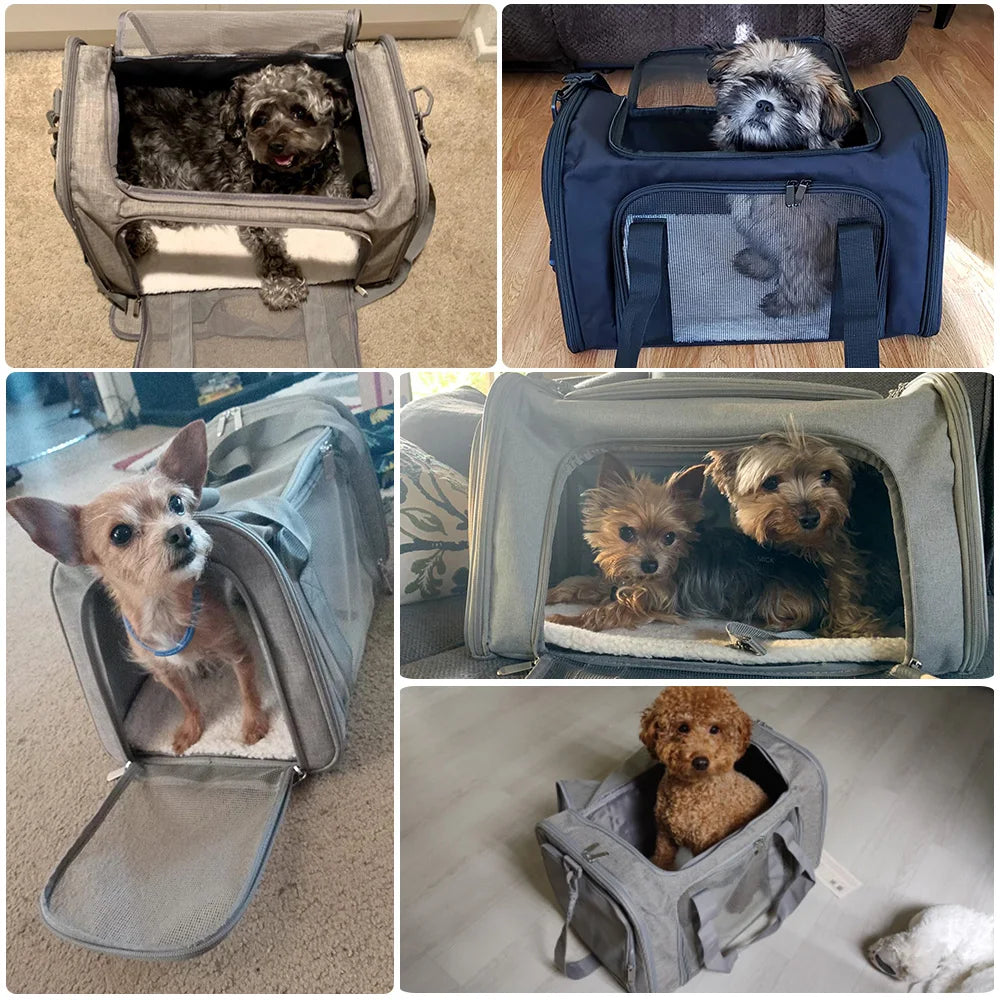 Transportín de viaje reforzado para mascotas RumboPata