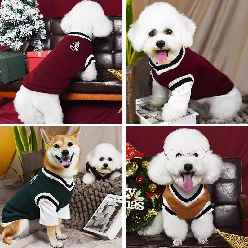 Chaleco de punto para perro RumboPata