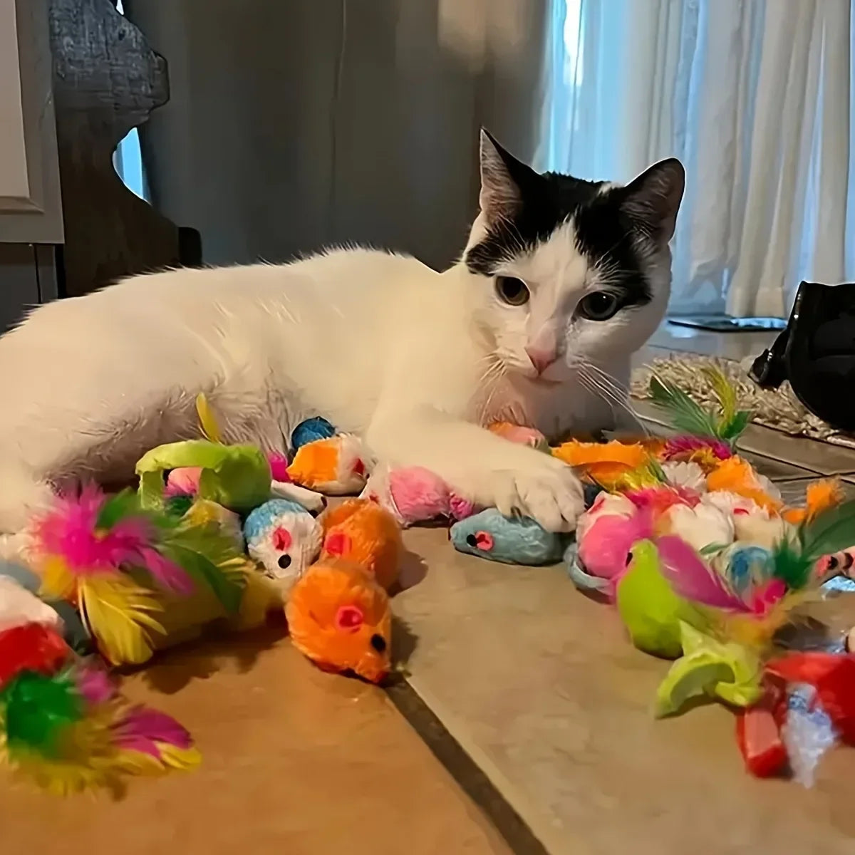 Pack surtido de juguetes para gatos RumboPata