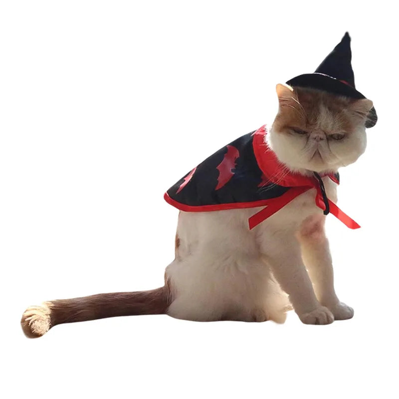 Disfraz de calabaza para perros y gatos RumboPata